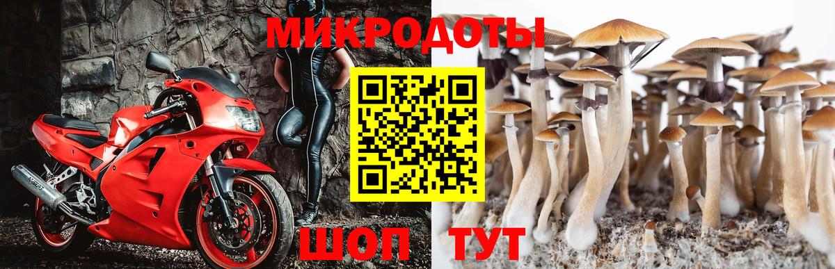 Псилоцибиновые грибы мицелий  продажа наркотиков  Озёры  Вход с VPN 